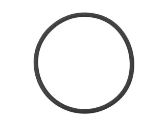 Victor Reinz O-Ring - 12111252257